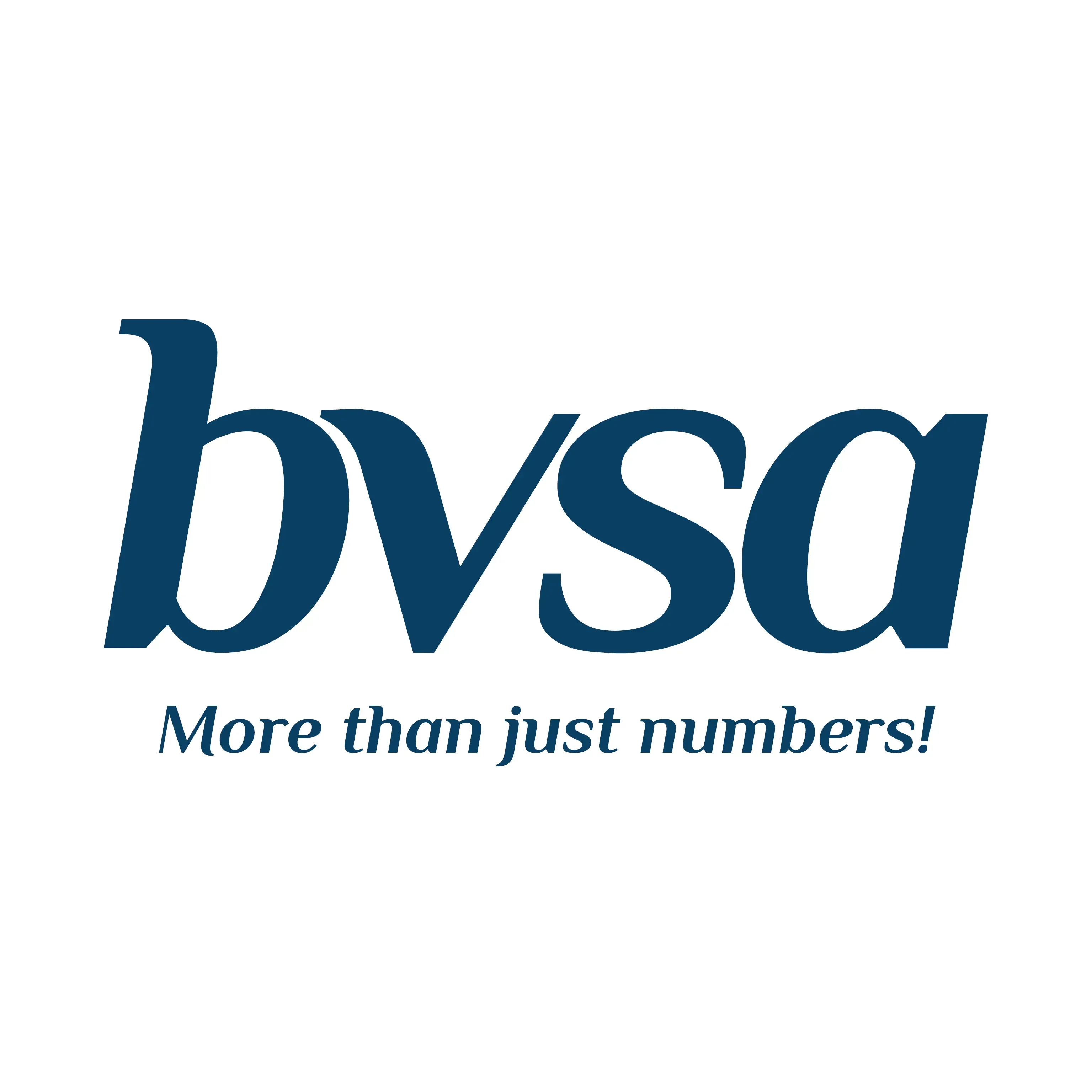 BVSA.webp